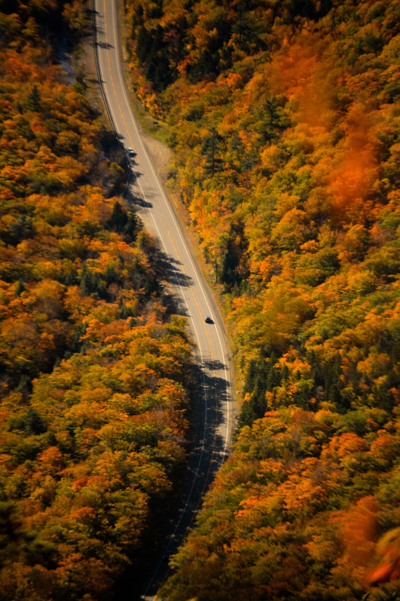 The road less traveled
