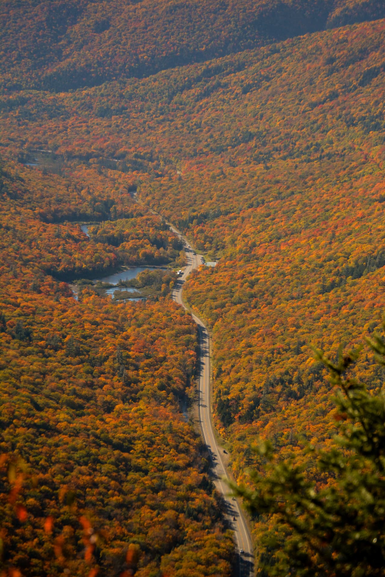 A winding road through fall foliage