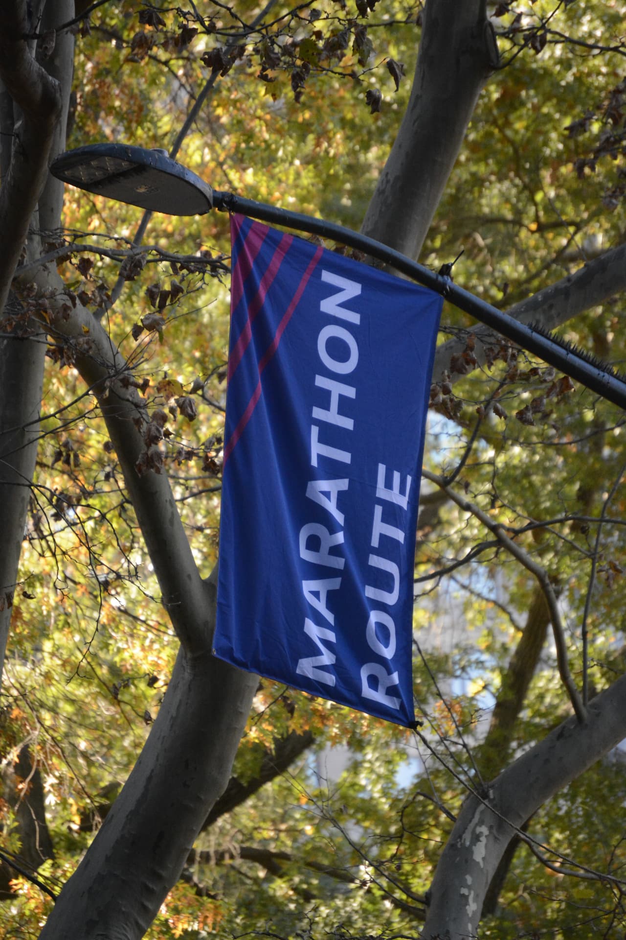 A Marathon Route banner hanging from a lamppost in the autumn trees