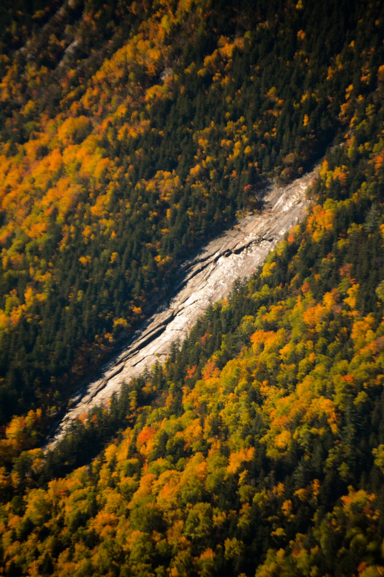 Granite and golden trees